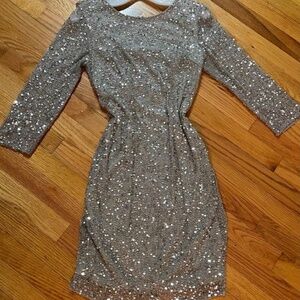 Sparkle Silver Evening Cocktail Dress
